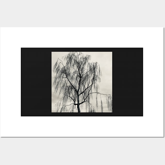 Tree silhouette Wall Art by robsteadman